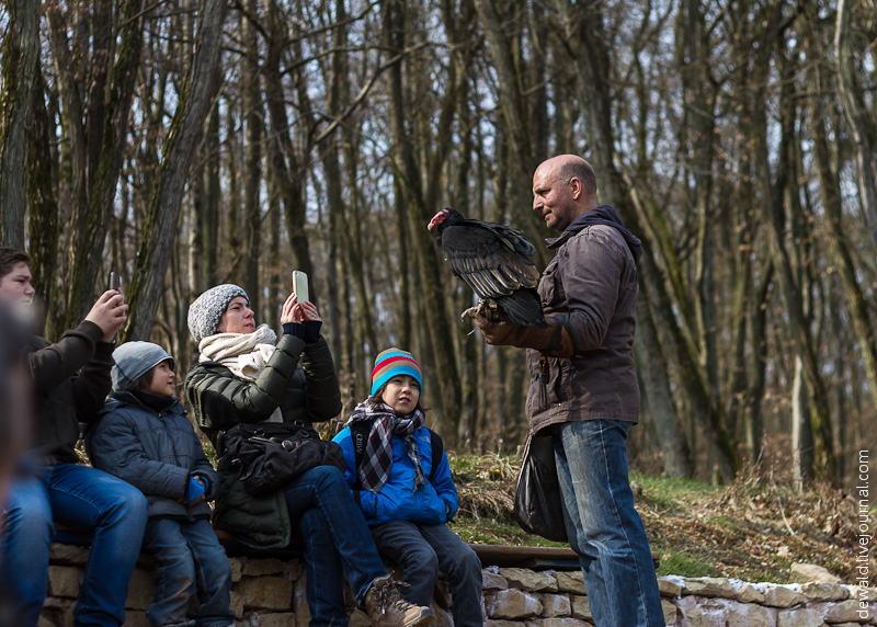 Парк хищных птиц в Германии