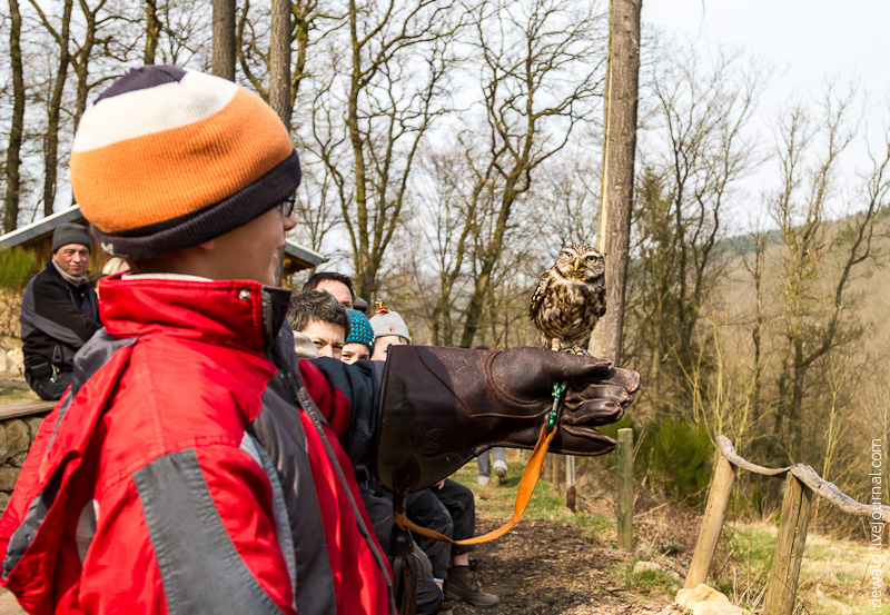 Парк хищных птиц в Германии
