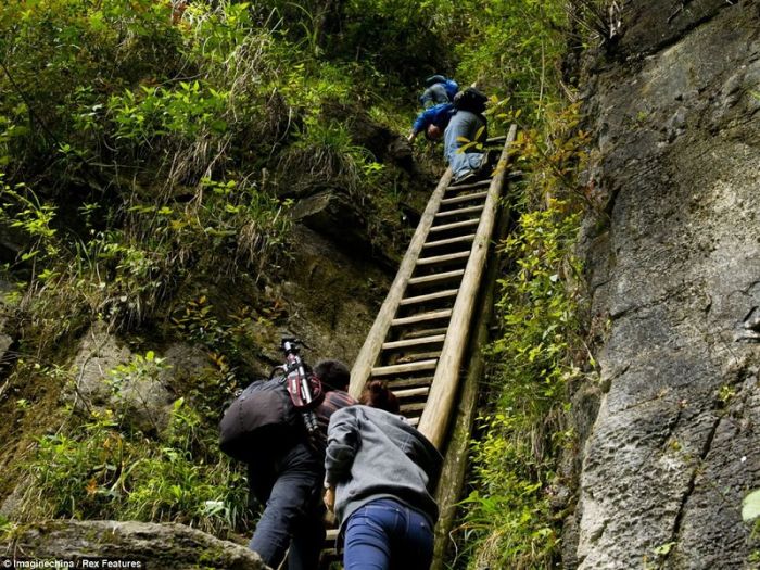 Опасная дорога в школу