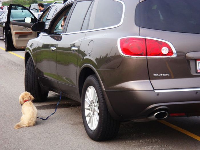 Женщины за рулем