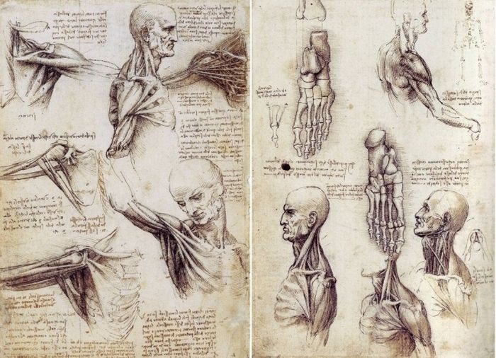 Загадки и изобретения Леонардо да Винчи (18 фото)