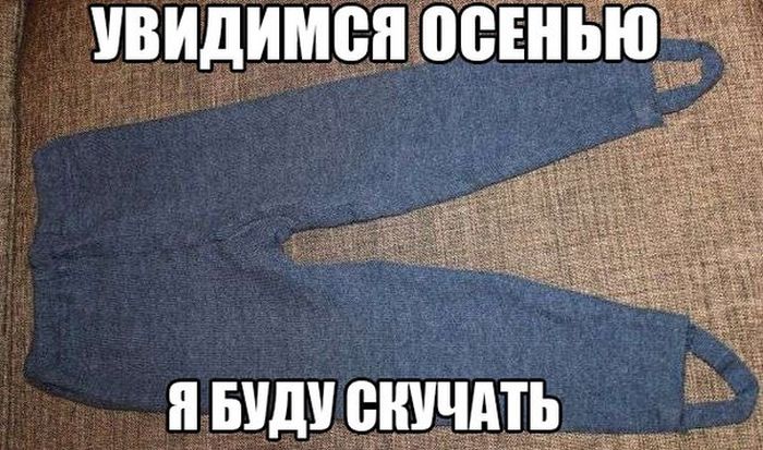 Порция картинок