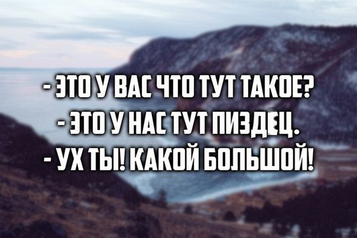 Порция картинок