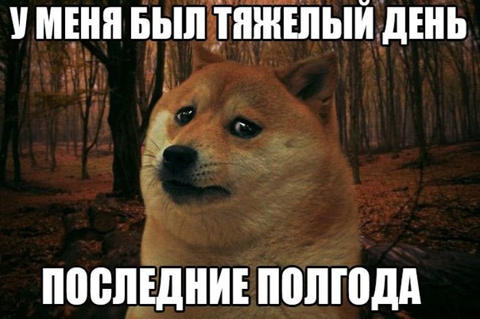 Порция картинок