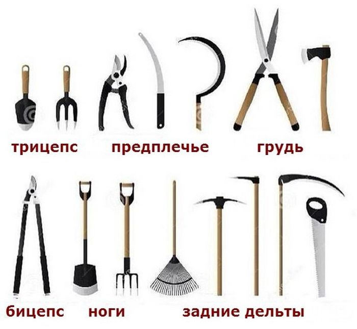 Порция картинок