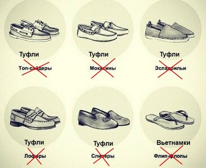 Порция картинок