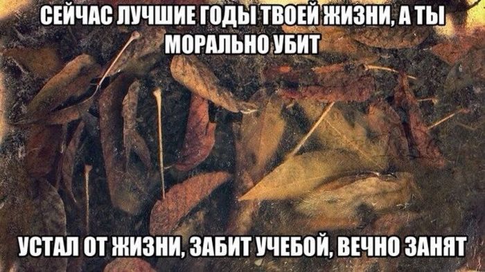 Порция картинок