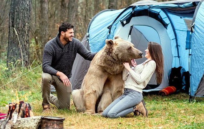 Фотосессия с медведем в лесу