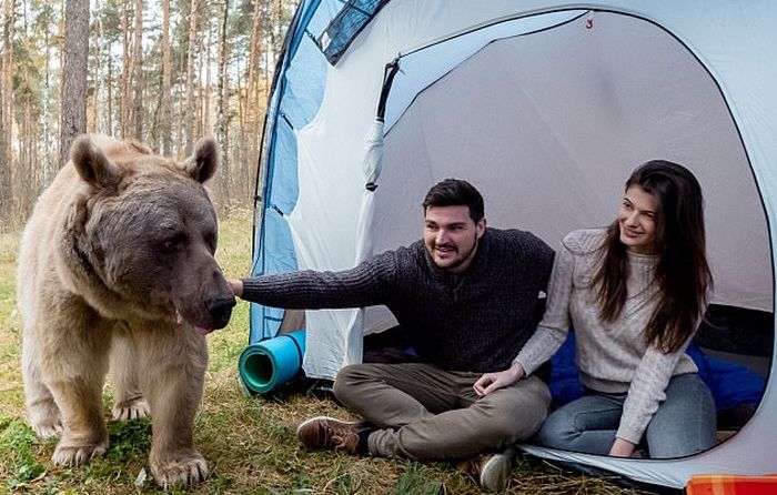 Фотосессия с медведем в лесу