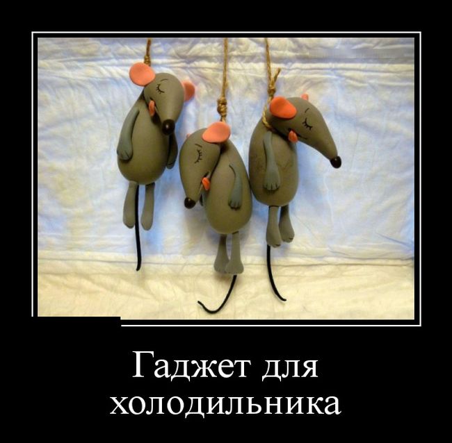Демотиваторы