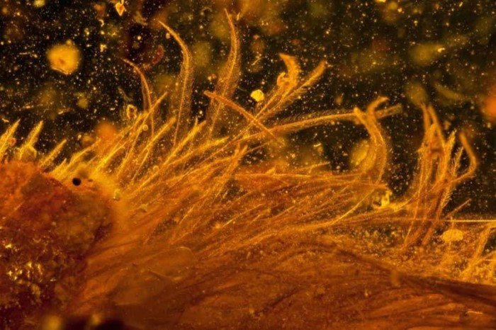 Необычные явления нашей планеты из журнала National Geographic