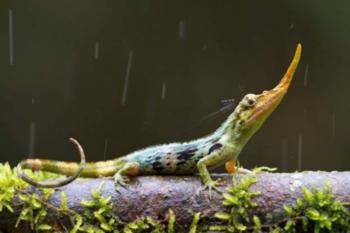 Необычные явления нашей планеты из журнала National Geographic