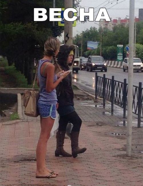 Прикольные картинки