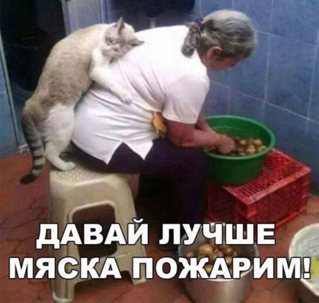 Прикольные картинки