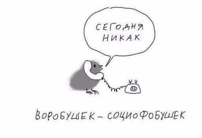 Прикольные картинки
