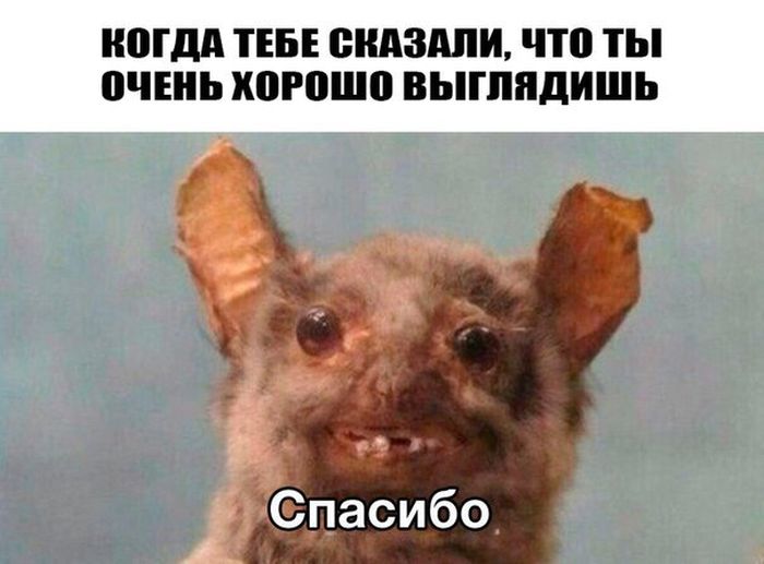 Прикольные картинки