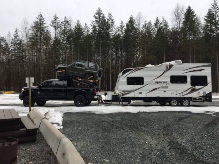 Прикольные картинки