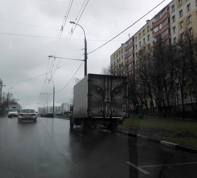Прикольные картинки