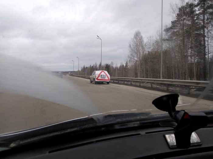 Автоприколы с наклейкой «Шипы»
