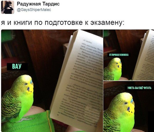 Юмор из соцсетей