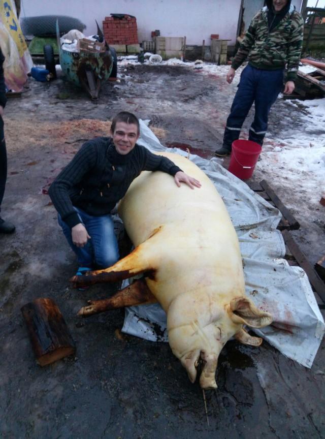 Вестник социальных сетей