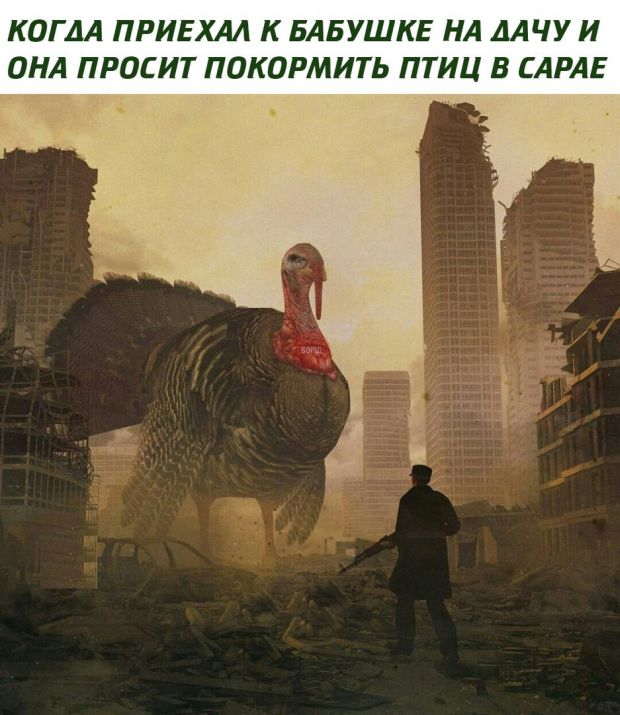Прикольные картинки