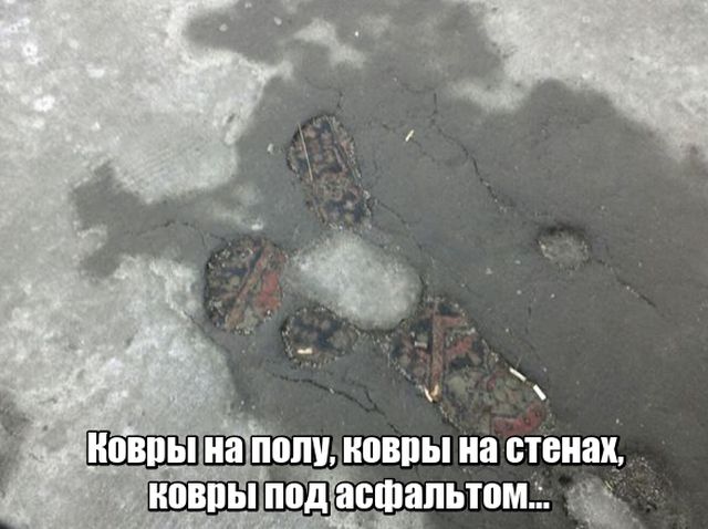 Прикольные картинки