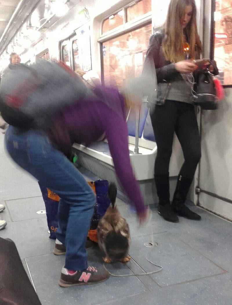 Модники из метрополитена
