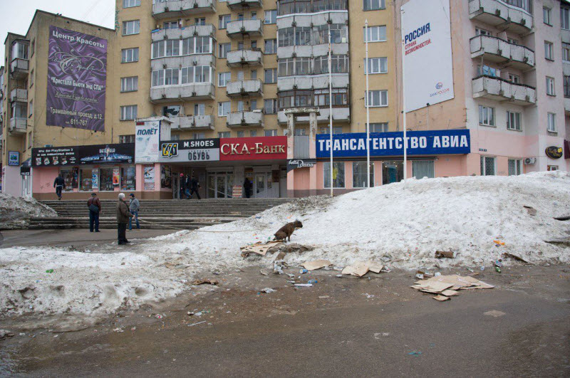 По родным просторам