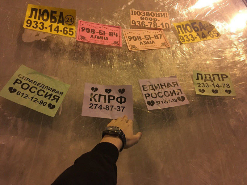 По родным просторам