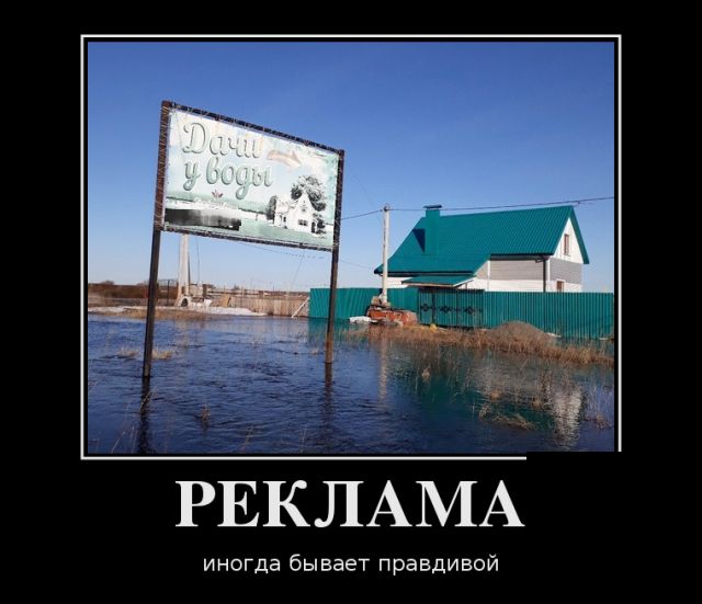 Демотиваторы