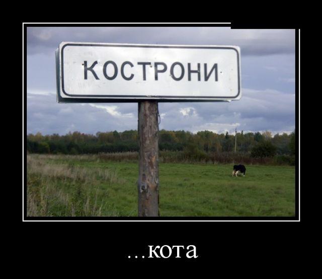 Демотиваторы