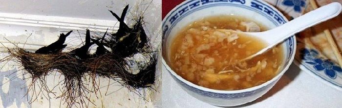 Самые дорогие и странные покупки