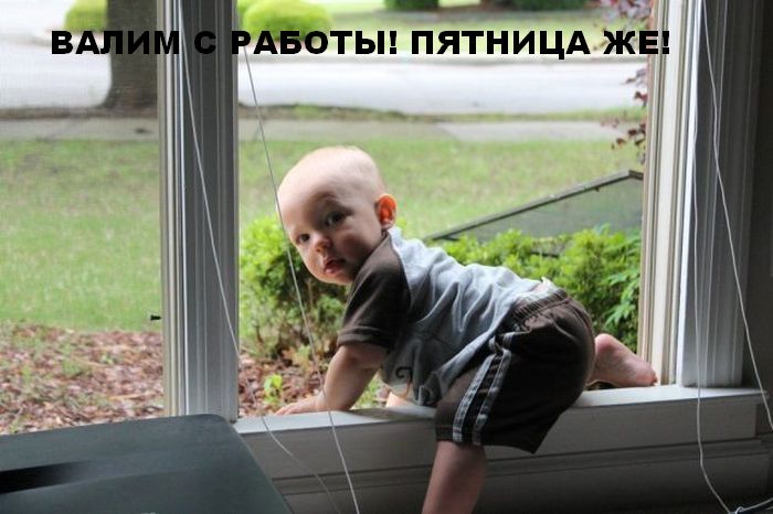 Прикольные картинки (51 фото) Прикольные картинки (51 фото)