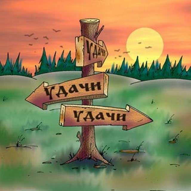 Любопытно о дне рождении