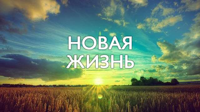 Любопытно о дне рождении