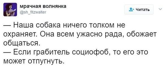 Юмор из социальных сетей