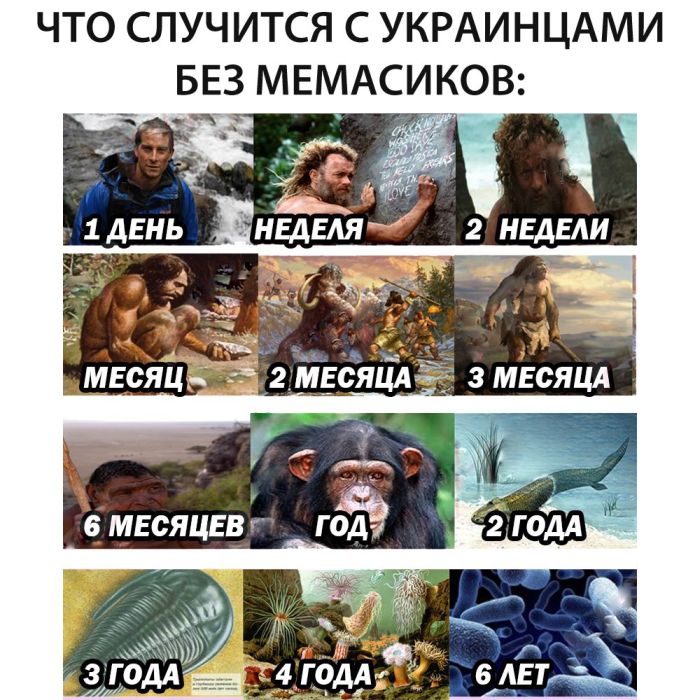 Пользователи сети шутят о запрете соцсетей «ВКонтакте» и «Одноклассники» на территории Украины