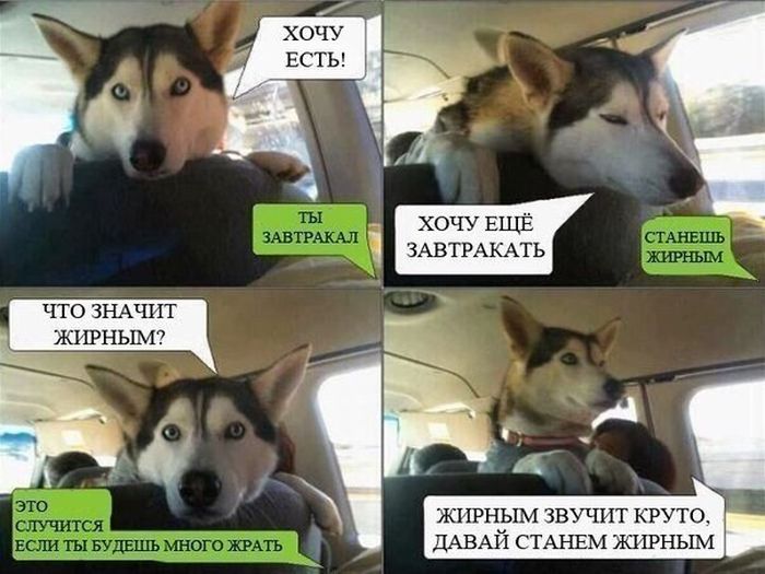 Смешные комиксы