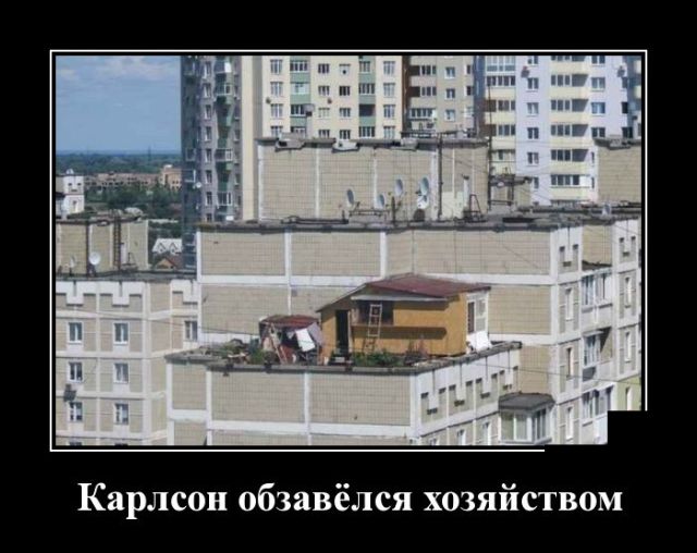 Демотиваторы