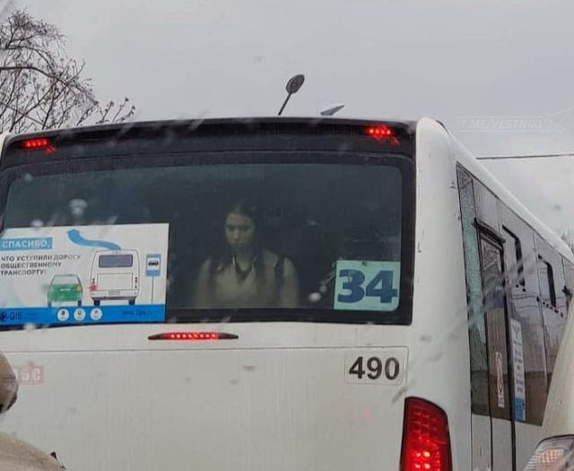 Прикольные картинки