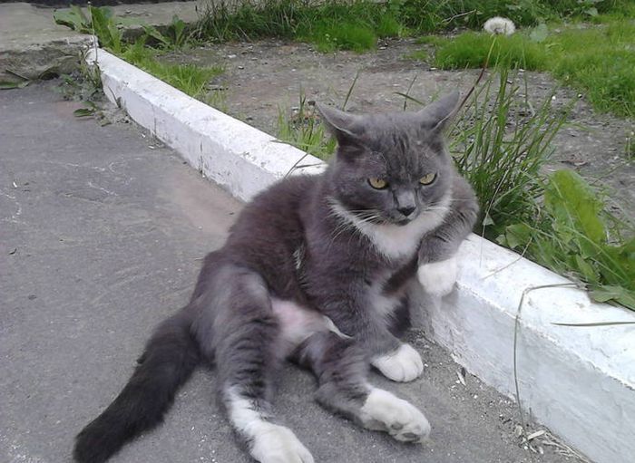Прикольные картинки