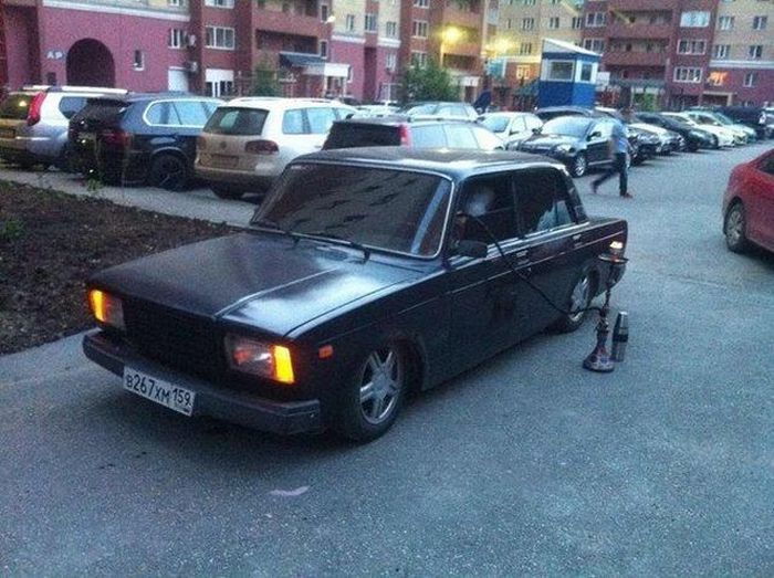 Прикольные картинки