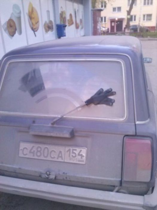 Прикольные картинки
