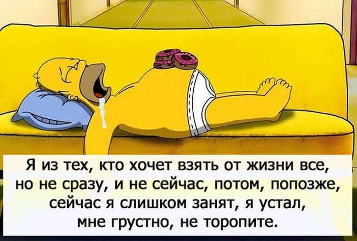 Порция картинок