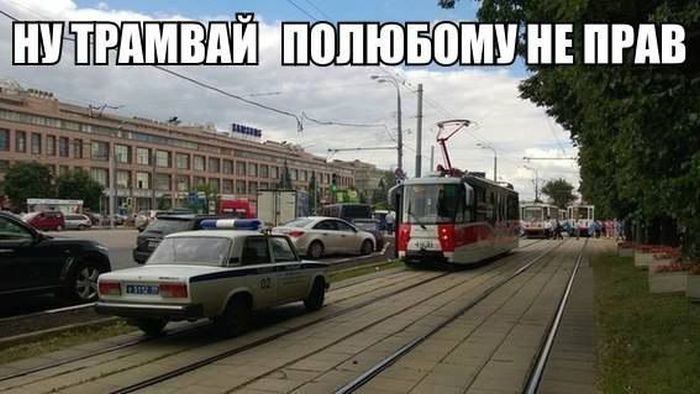 Порция картинок