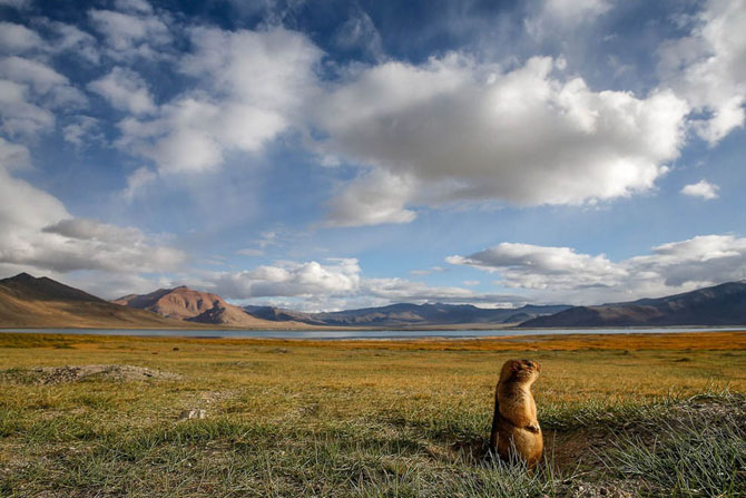 25 самых лучших кадров июня (25 фото) 25 самых лучших кадров июня (25 фото)