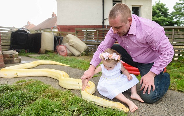 2-летняя девочка и 70-килограммовый питон — лучшие друзья