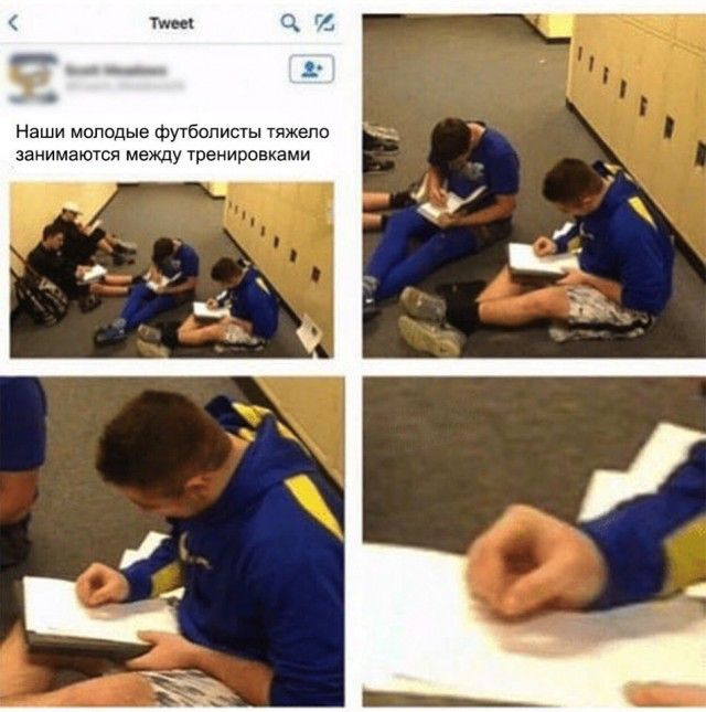 Приколы из социальных сетей