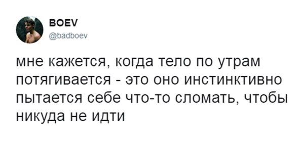 Приколы из социальных сетей
